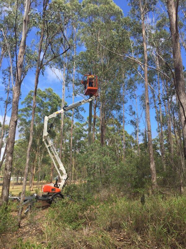 You are currently viewing Overhead Cable Repair in Blackbutt